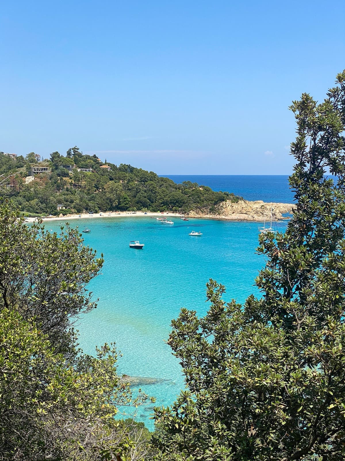 Canella